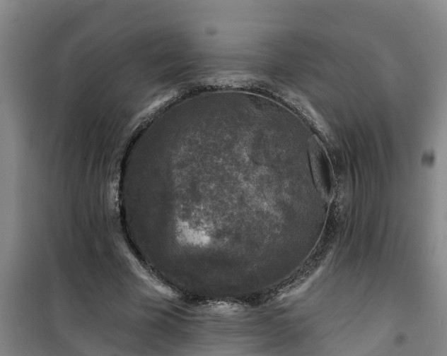 X0000101090585200807031728