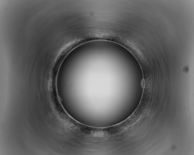 X0000101090587200807031728