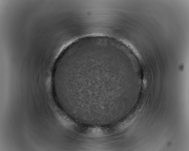 X0000101090588200807031728