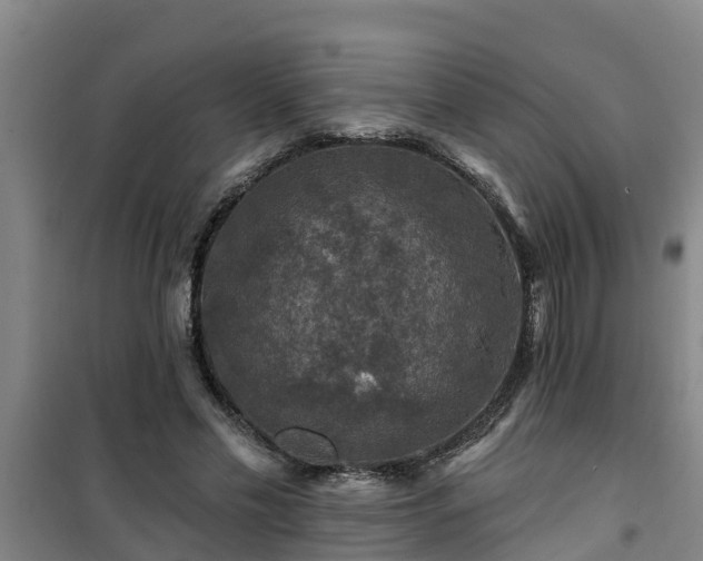 X0000101090589200807031728