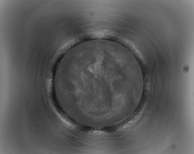 X0000101090590200807031728