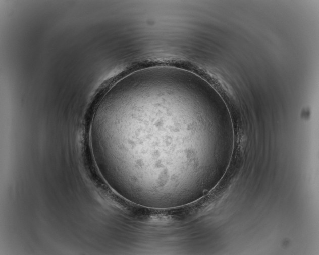 X0000101090591200807031728