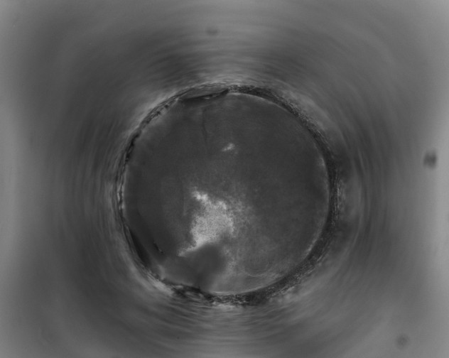 X0000101090592200807031728