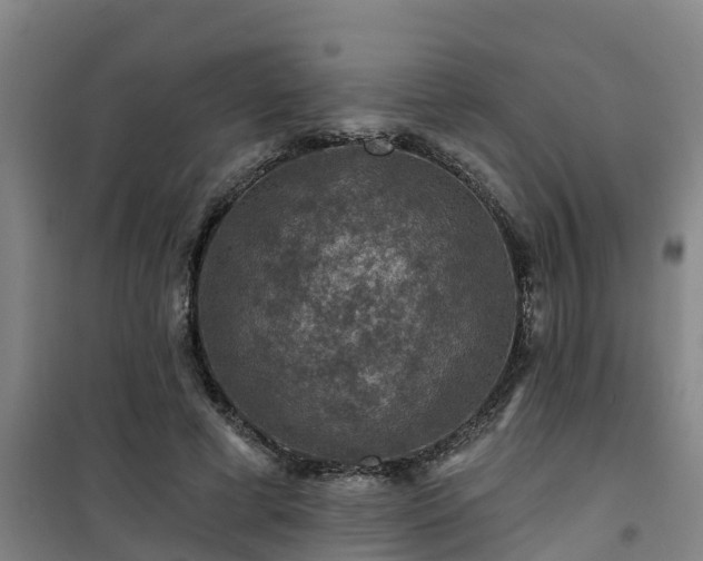 X0000101090593200807031728