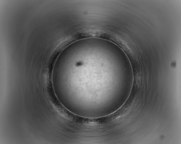 X0000101090594200807031728