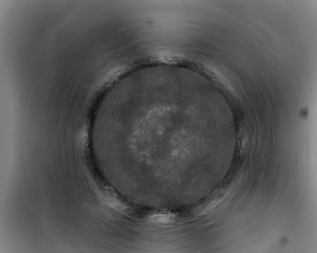 X0000101090595200807031728