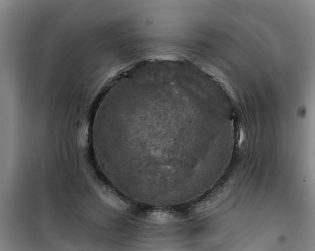 X0000101090596200807031728