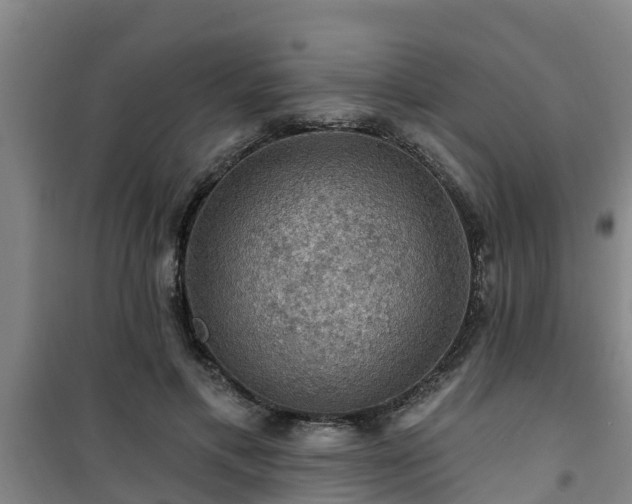 X0000101090597200807031728