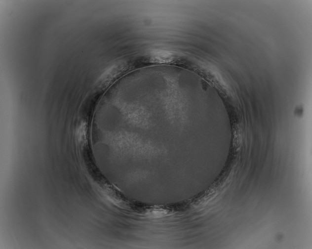 X0000101090598200807031728