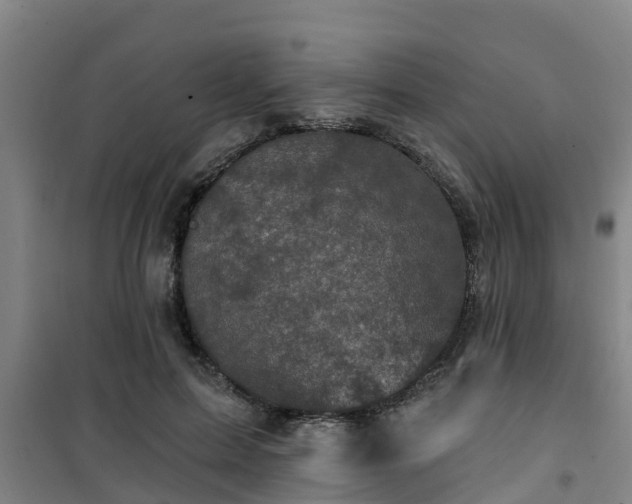 X0000101090599200807031728