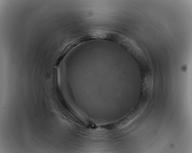 X0000101090600200807031728