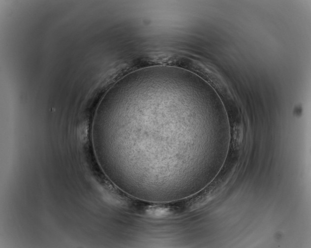 X0000101090602200807031728