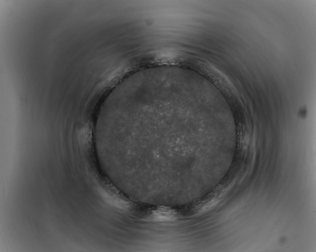 X0000101090603200807031728