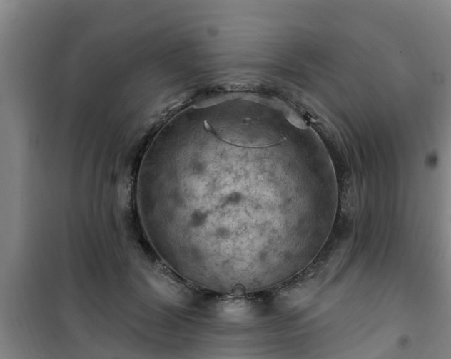 X0000101090604200807031728