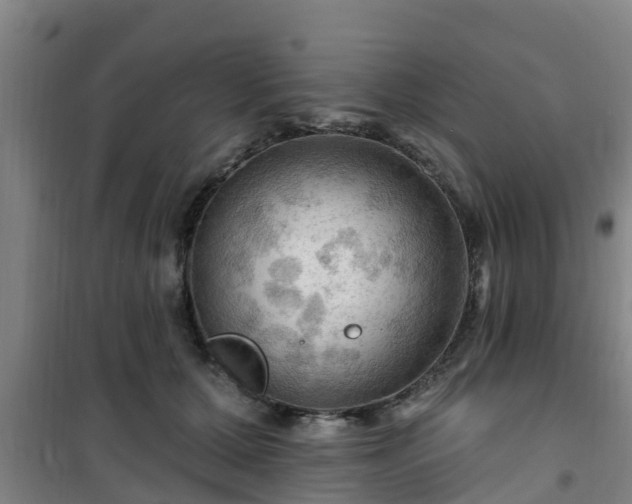 X0000101090607200807031728