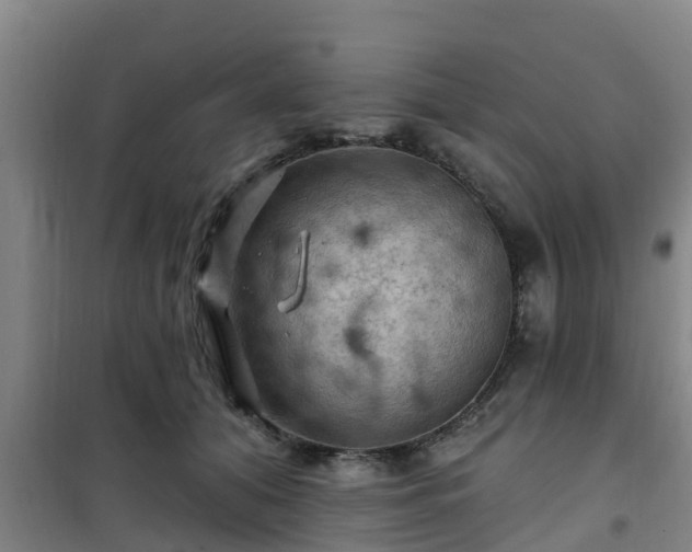 X0000101090608200807031728