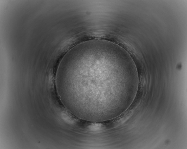 X0000101090609200807031728