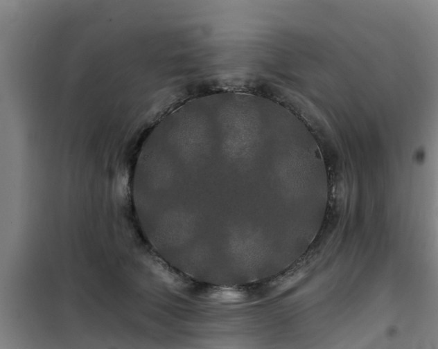 X0000101090610200807031728