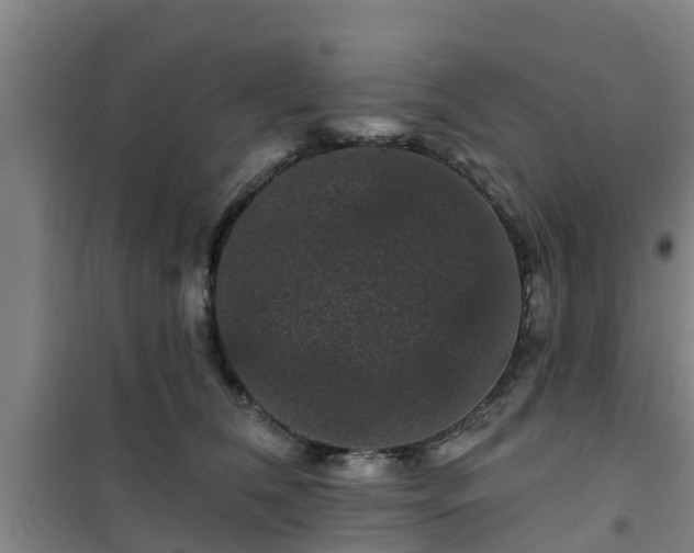 X0000101090612200807031728