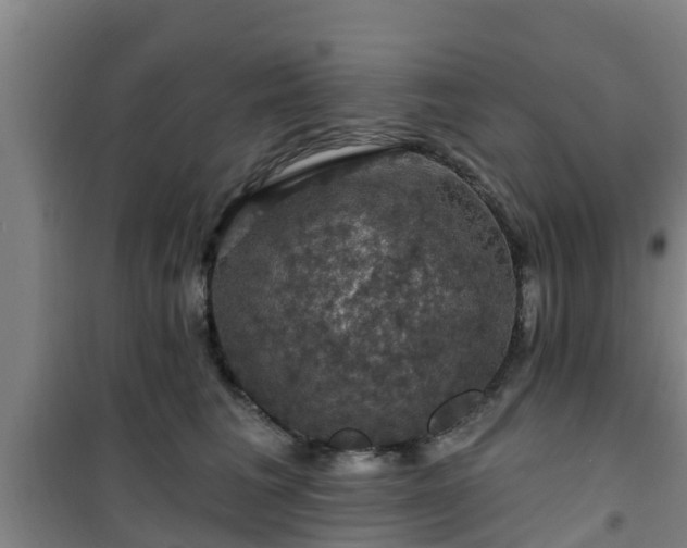 X0000101090613200807031728