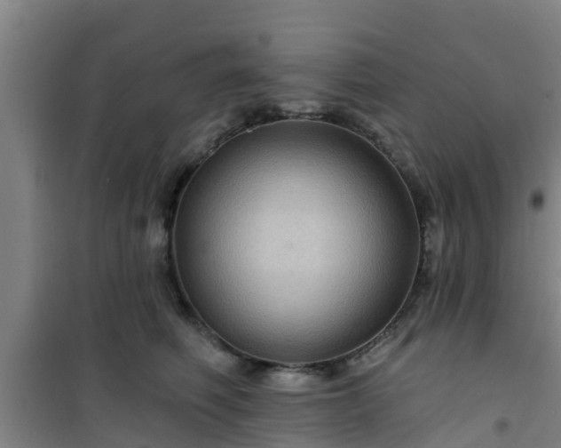 X0000101090614200807031728