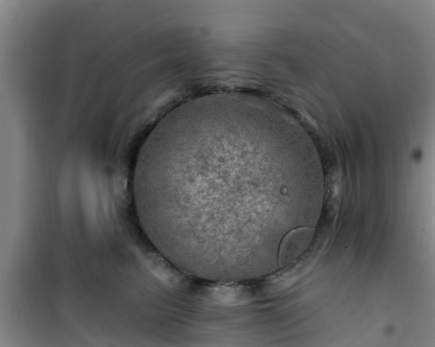 X0000101090615200807031728