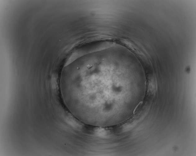 X0000101090616200807031728