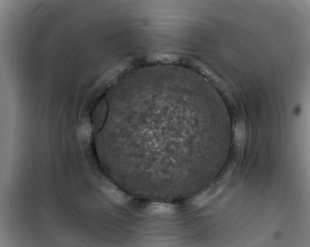 X0000101090617200807031728