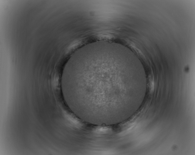 X0000101090619200807031728