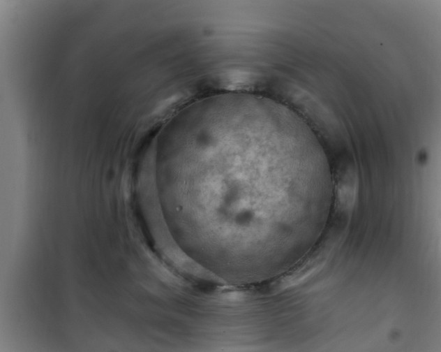 X0000101090620200807031728