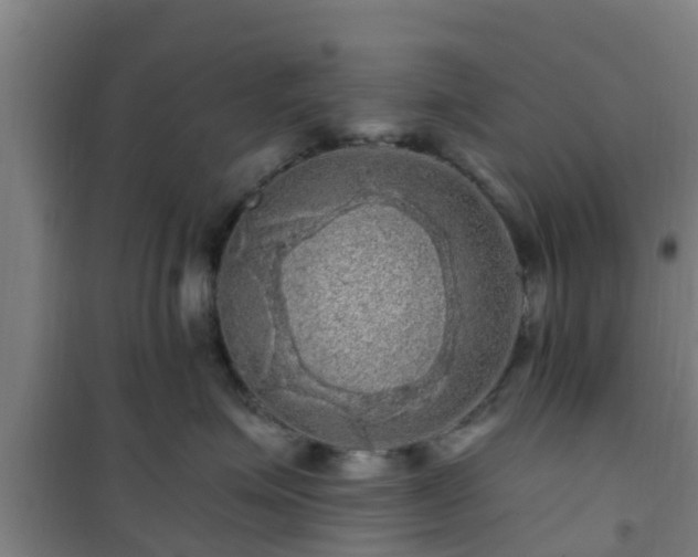 X0000101090623200807031728