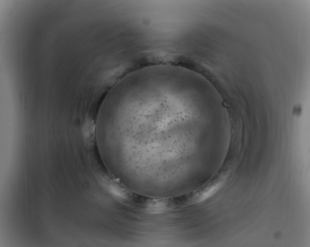 X0000101090624200807031728