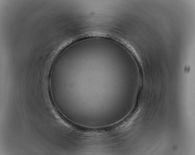 X0000101090625200807031727