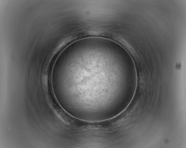 X0000101090626200807031727