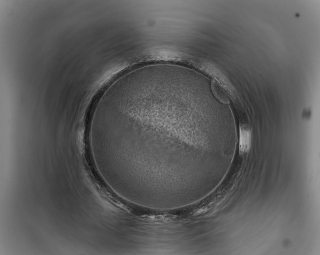 X0000101090627200807031727