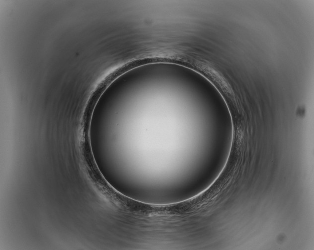 X0000101090628200807031727