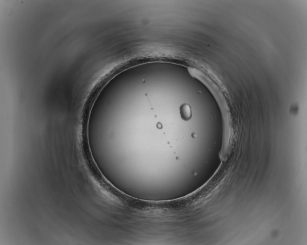 X0000101090629200807031727