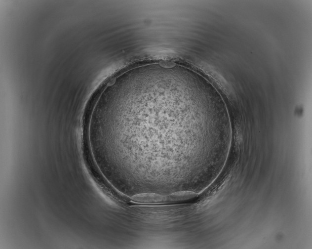 X0000101090630200807031727