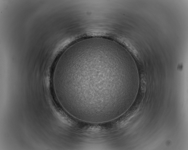 X0000101090631200807031727