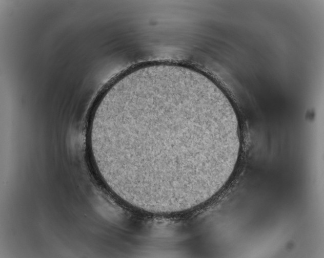 X0000101090632200807031727