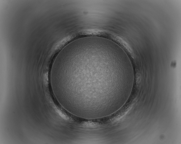 X0000101090633200807031727