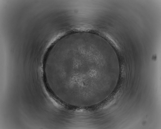 X0000101090634200807031727