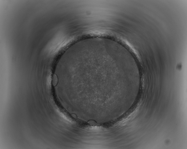 X0000101090637200807031727