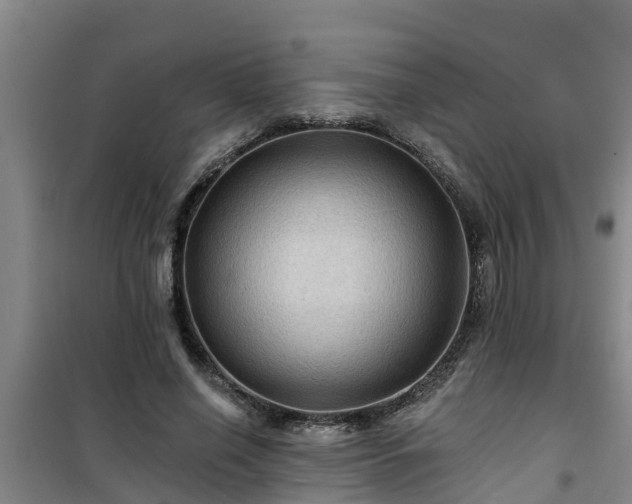 X0000101090638200807031727