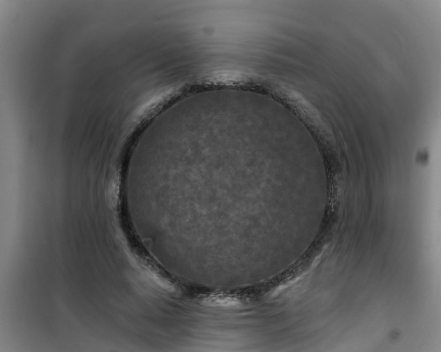 X0000101090640200807031727