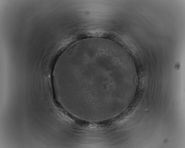 X0000101090641200807031727