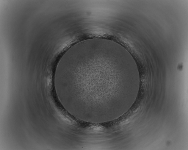 X0000101090642200807031727