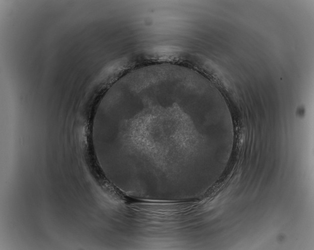 X0000101090643200807031727