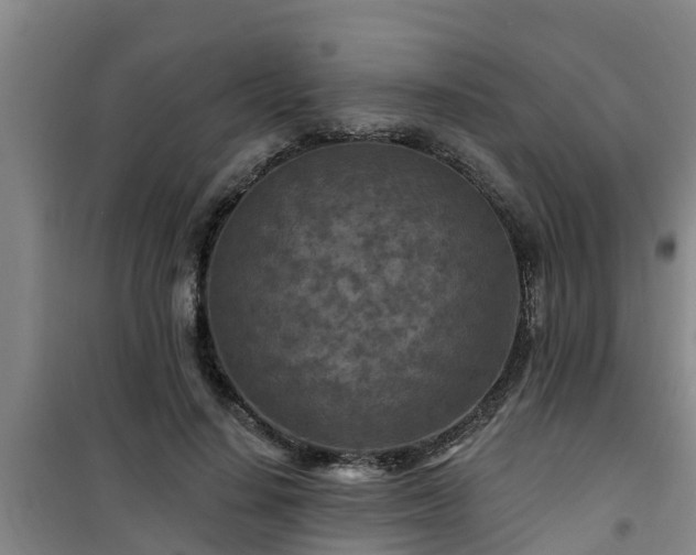 X0000101090644200807031727