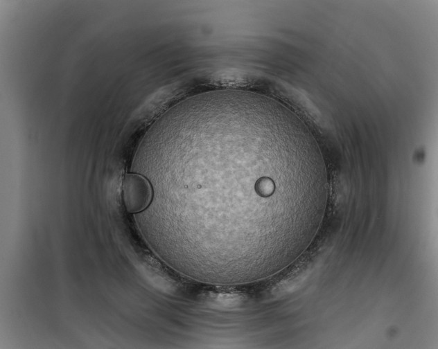 X0000101090645200807031727